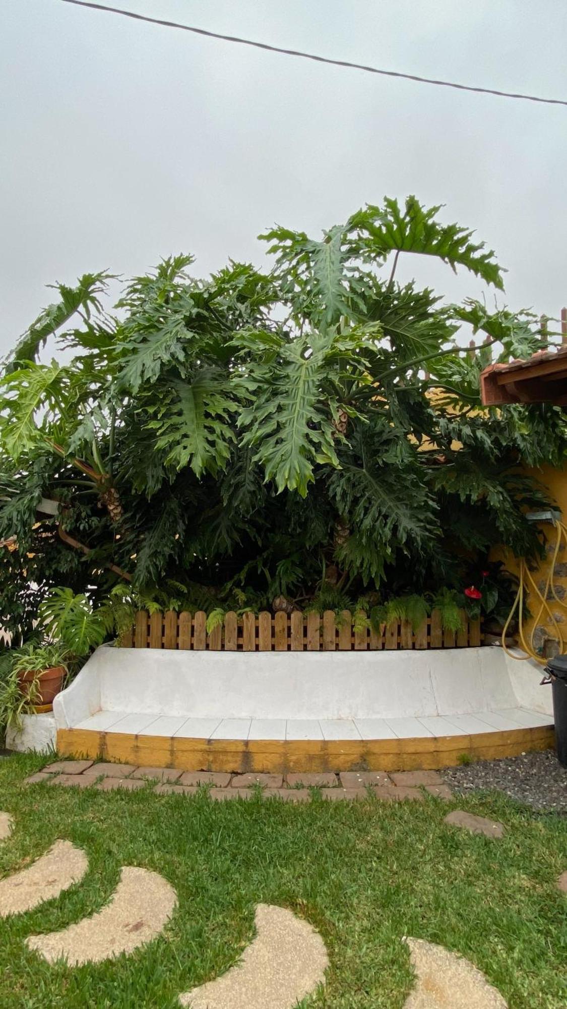 Casa Rural La Ganania Los Realejos Zewnętrze zdjęcie